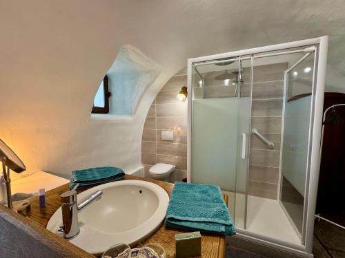a bathroom with a sink and a shower at Le Mas Saint Jacques in Le Pontet