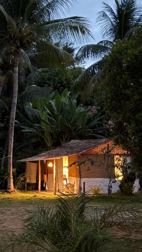 a small house with a palm tree in front of it at Pouso do Cajueiro - Moreré in Cairu