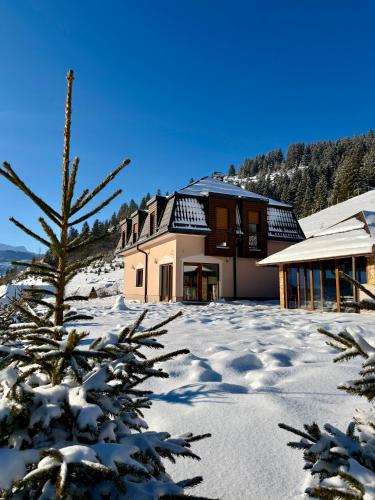 겨울의 Luxury Villa Kadic
