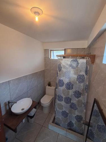 a bathroom with a toilet and a sink and a shower at Cabaña BellaVista in Oxapampa