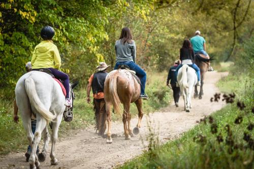 a group of people riding horses down a dirt road at Rezort u Bobiho in Nový Tekov