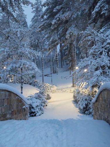 a path in a snow covered forest with trees at Sibilla Ospitalità in Visso