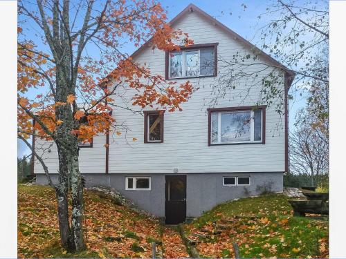 a house with three windows and a tree at Holiday Home Tarvas by Interhome in Tarvaspohja