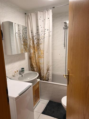 a bathroom with a sink and a toilet and a shower at Luisen City Studio Görlitz in Görlitz