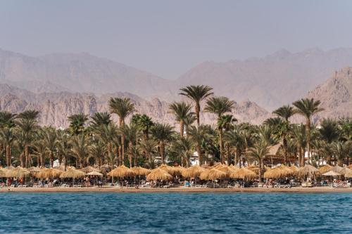 a beach with straw umbrellas and palm trees at JAZ Sharm Dreams in Sharm El Sheikh