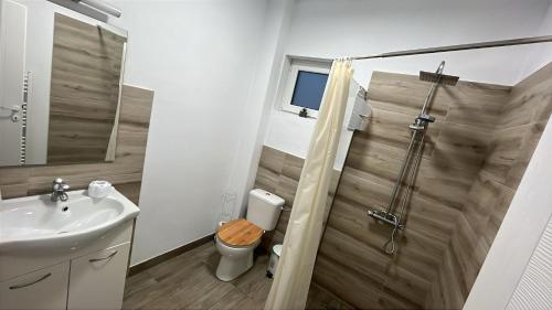 a bathroom with a shower and a toilet and a sink at Vila Mișu in Dobra