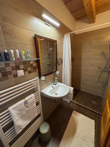 a bathroom with a sink and a shower at Frida Farm Vendégház in Kétvölgy
