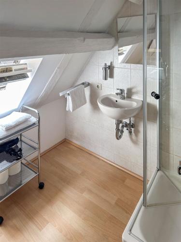 a bathroom with a sink and a shower at Ferienwohnungen Elbjuwel in Rathen
