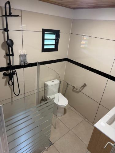 a bathroom with a toilet and a window and a sink at ALHAMBRA location saisonnière in Sainte-Rose