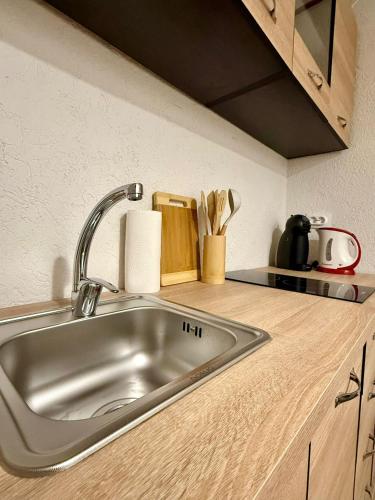 a kitchen counter with a stainless steel sink at ADA Residence Lupeni acces rapid catre Straja Ski Resort in Lupeni