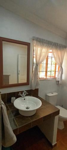 a bathroom with a sink and a mirror and a toilet at Jakkalsroep Cottage in Touwsrivier