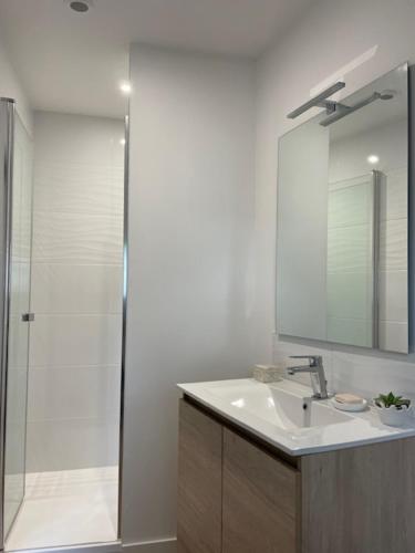 a bathroom with a sink and a shower with a mirror at Chambre d'hôte Monthorin in Vernie