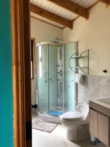 a bathroom with a glass shower and a toilet at Cabañas Don Lino in Cochrane