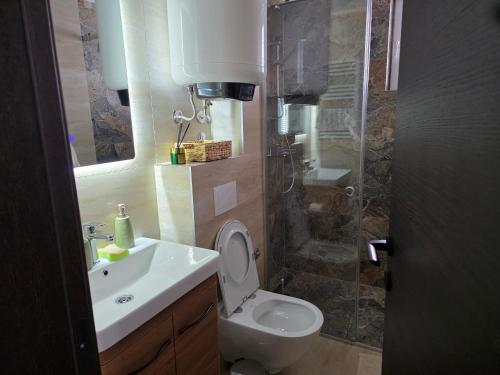 a bathroom with a toilet and a sink and a shower at Sky Nest Kopaonik in Kopaonik