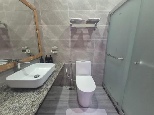a bathroom with a white toilet and a sink at Aasna Inn in Thulusdhoo