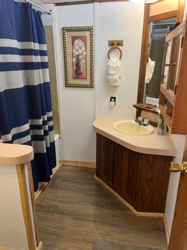 a bathroom with a sink and a mirror at Smokey Mountain Overlook in Bryson City