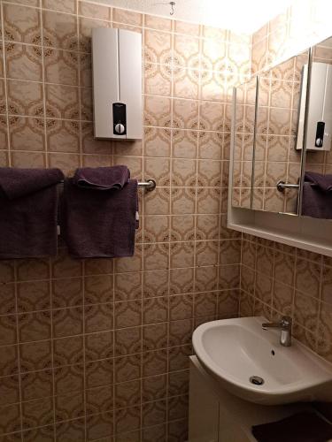 a bathroom with a sink and a mirror at Wasgauer Felsen und Seenland in Ludwigswinkel