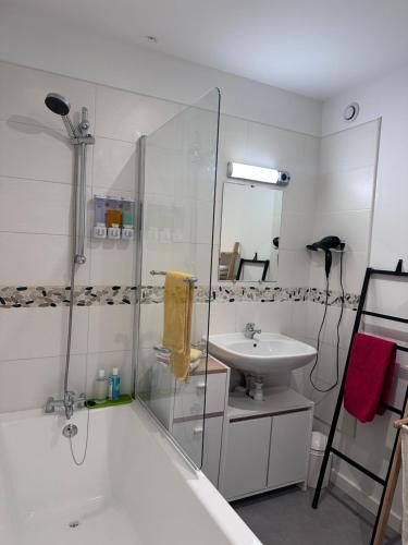 a bathroom with a tub and a sink and a shower at Le Gambetta Théâtre de Calais in Calais