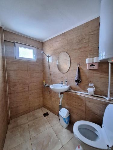 a bathroom with a toilet and a sink and a mirror at The Mountain House Doris in Kruševo