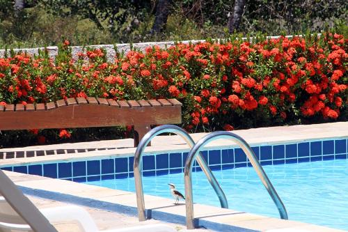 a bird standing next to a swimming pool with red flowers at Pousada Lua Cheia in Japaratinga