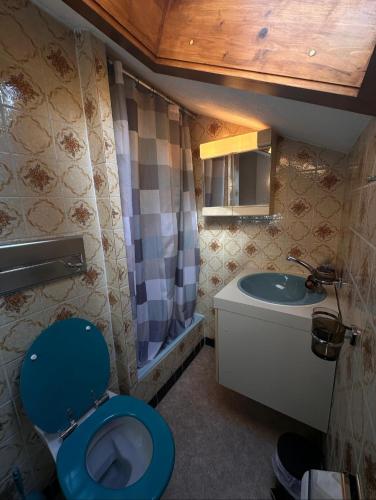 a bathroom with a blue toilet and a sink at Anna's Appartement in Matten