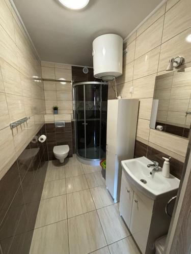 a bathroom with a shower and a sink and a toilet at Wczasy Boszkowo in Boszkowo