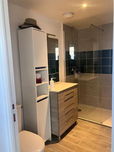 a bathroom with a toilet and a sink and a shower at La Ferme de Kérivoas in Audierne