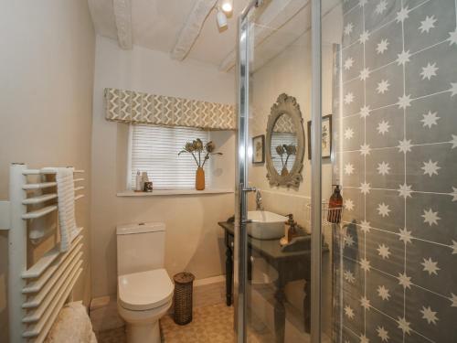 a bathroom with a shower and a toilet and a sink at 8 Welsh Street in Bishops Castle