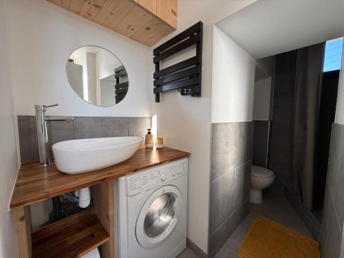 a bathroom with a washing machine and a sink at Escale à Boisinges in Viuz-en-Sallaz