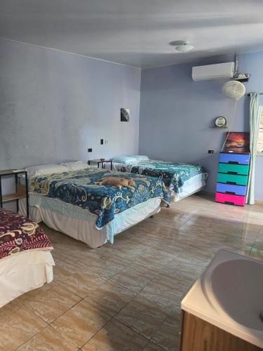 Llit o llits en una habitació de Surf House