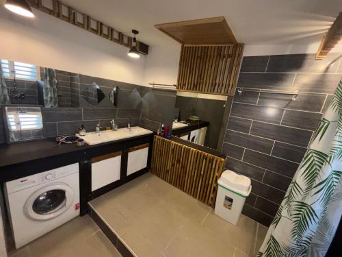 a bathroom with a sink and a washing machine at Ti caze Montplaisir 2 in Saint-Louis