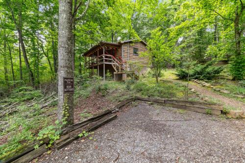 BEAR BOTTOMS Studio Twin Cabin HotTub TV Wifi photo 41
