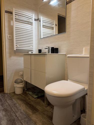 a bathroom with a toilet and a sink and a mirror at Studio cosy et calme à Garches in Garches