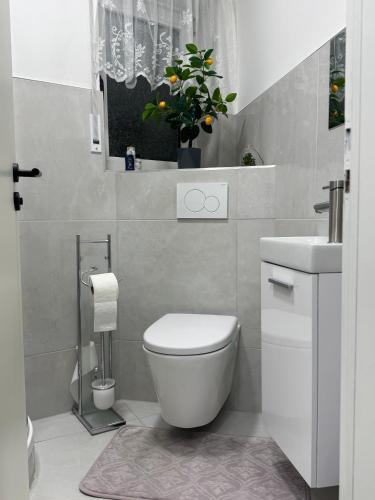 ein weißes Badezimmer mit Toilette und Waschbecken in der Unterkunft Petite Belle in Eppingen