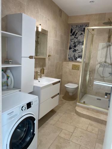 ein Badezimmer mit Waschmaschine und Dusche in der Unterkunft Station in Saint-Étienne-de-Saint-Geoirs