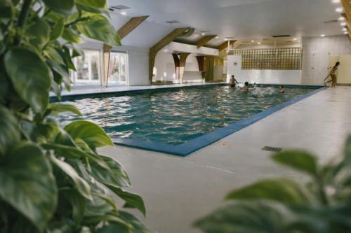 a large swimming pool with people in the water at Chalet Tournesol Durbuy in Durbuy