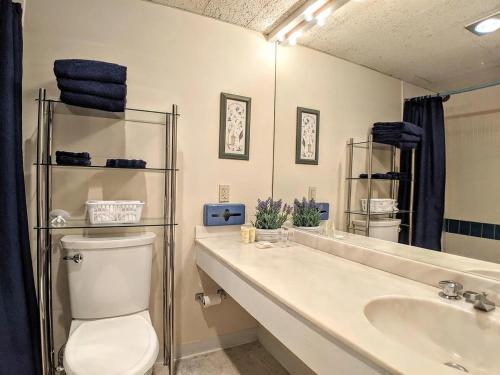 a bathroom with a toilet and a sink and a mirror at Spacious 2 bd 2 bth Condo at Cedar Lodge Laconia in Laconia