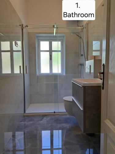 a bathroom with a shower and a toilet and a sink at Apartman Villa Adelina in Lovran
