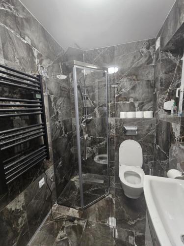a bathroom with a shower and a toilet and a sink at Domek na Sosnowej in Wilków