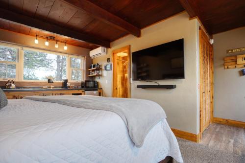 a bedroom with a large bed with a tv on the wall at Columbine Cabin at Highland Meadows in Hot Springs