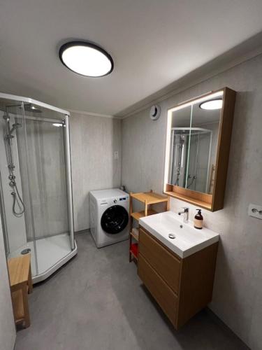 a bathroom with a shower and a sink and a mirror at Nyoppusset leilighet i Vadsø in Vadsø