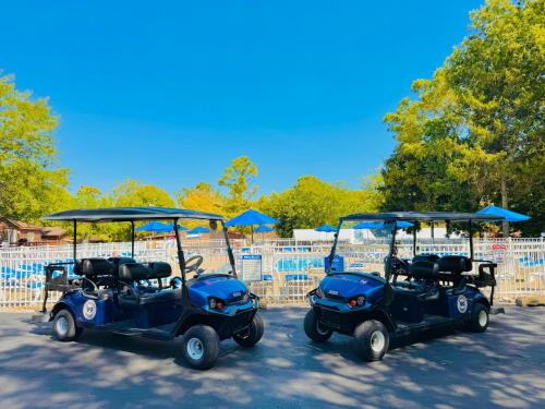 two golf carts parked next to each other at Put-in-Bay Island Club #74 in Put-in-Bay