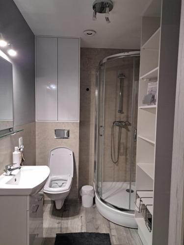 a bathroom with a shower and a toilet and a sink at Beti's Apartment in Zambrów