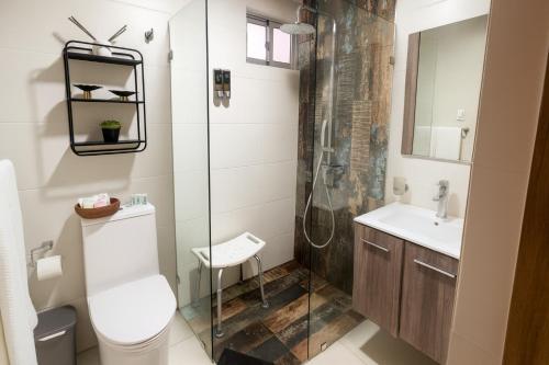 a bathroom with a shower and a toilet and a sink at Confortable Apartamento Centro Ciudad in Santo Domingo