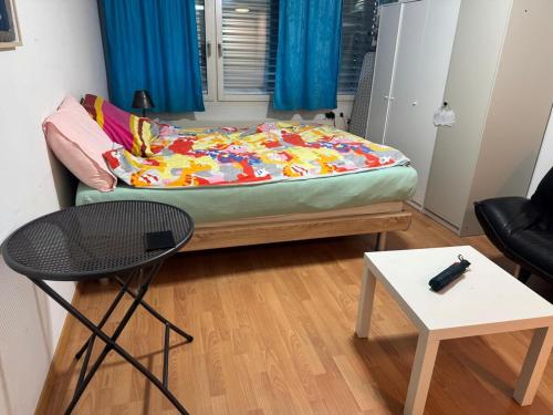 Apartment in central Lucerne