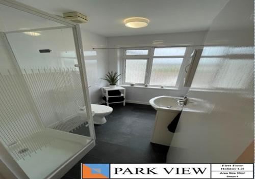 a bathroom with a shower and a toilet and a sink at Beckington House in Braunton
