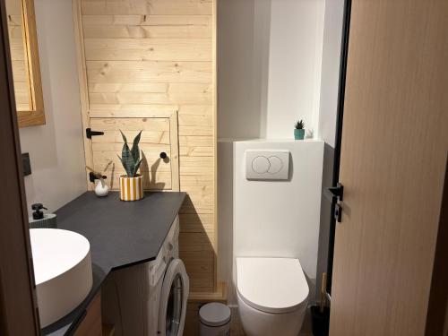a bathroom with a white toilet and a sink at Charmant duplex Proche station in Aime-La Plagne