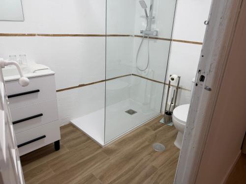 a bathroom with a shower and a toilet at Hostal Gran Capitán in Toledo