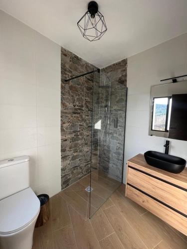 a bathroom with a shower with a toilet and a sink at Villa Marín in Aroche