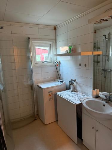 a small bathroom with a sink and a washing machine at Lite hus i Vestre Slidre in Vollen